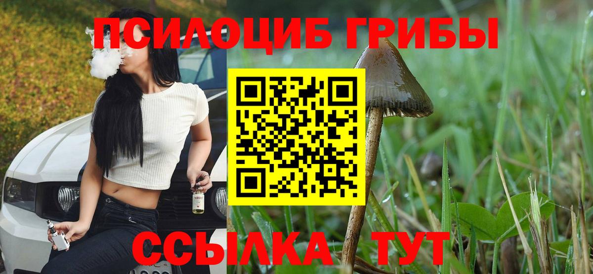 Нижний Тагил  Псилоцибиновые грибы Cubensis  Вход с VPN  Галлюциногенные грибы Psilocybine cubensis 