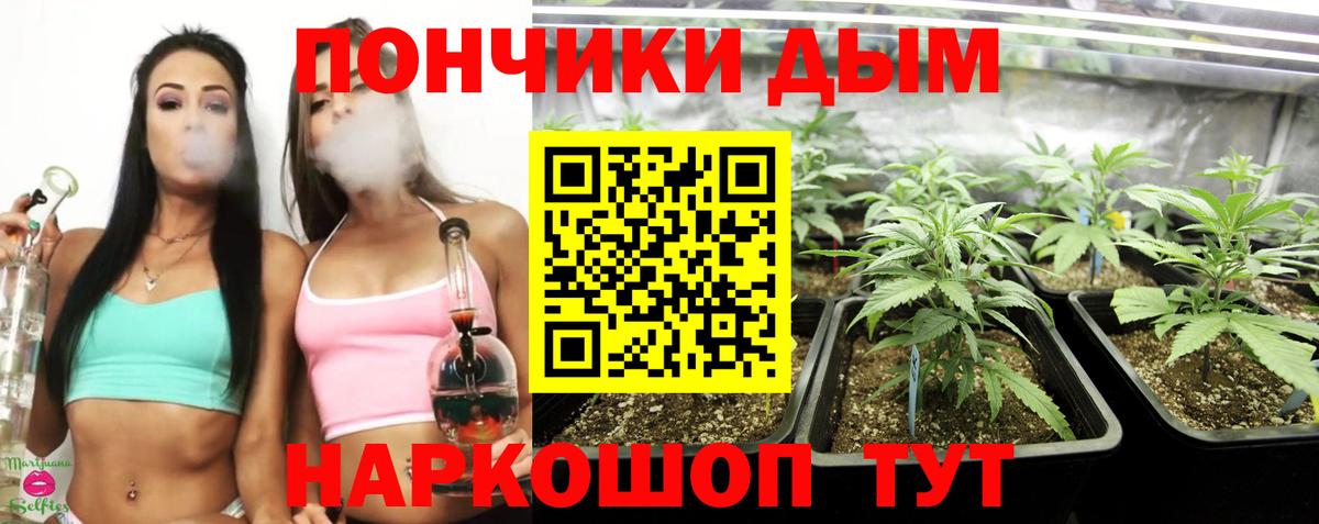 Каннабис Ganja  Шишки марихуана семена  Шишки марихуана MAZAR  Нижний Тагил  Вход с VPN 